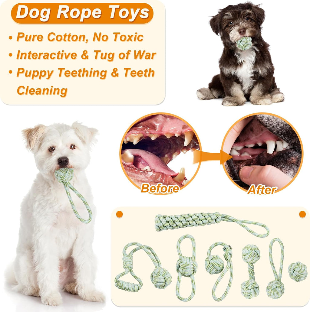 Fur & Bone Dog Chew Toys 10-Pack – Puppy Teething, Rope & Squeaky Toys for Small & Medium Dogs