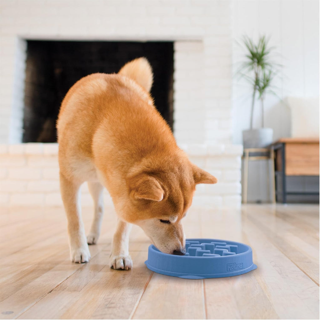 Outward Hound Slow Feeder Dog Bowl – Interactive Slow Feeding Bowl for Dogs, Medium, Blue