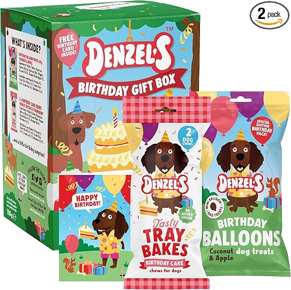 Denzel's Dog Treats Mini Birthday Gift Box for Dogs – Birthday Cake & Balloon Treats with Peanut Butter, Strawberry, Coconut & Apple, 110g