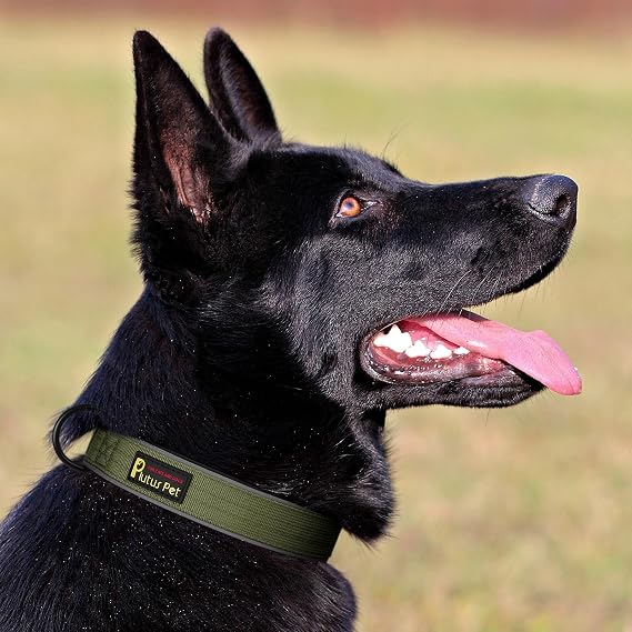 Plutus Pet Tactical Dog Collar – Reflective Adjustable Collar for Small, Medium & Large Dogs