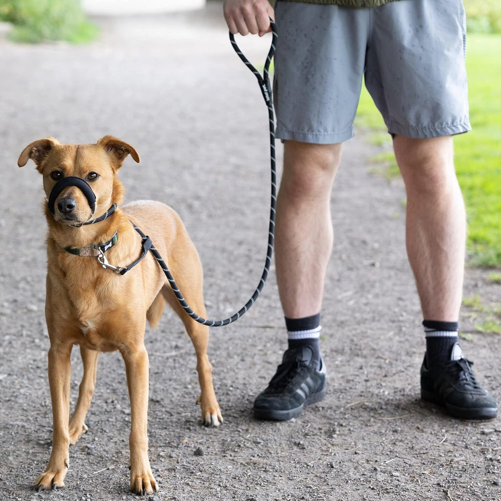 Total Pet Figure of 8 Dog Lead – Anti-Pull Rope Slip Lead with Padded Nose Support for Medium & Large Dogs, Black