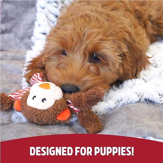 Rosewood Little Nippers Cheeky Chimp Puppy Toy – Soft Plush Dog Toy with Crinkle & Squeak | Flat Body Teething Toy for Puppies & Small Dogs