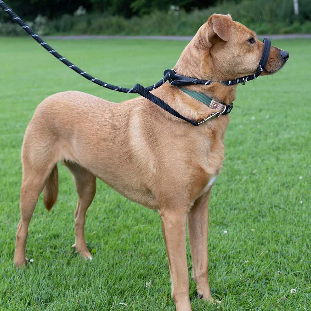Total Pet Figure of 8 Dog Lead – Anti-Pull Rope Slip Lead with Padded Nose Support for Medium & Large Dogs, Black