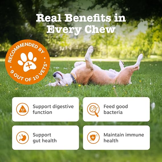 Zesty Paws Probiotic Chews for Dogs – Daily Digestive & Gut Support Supplement, 90 Chews