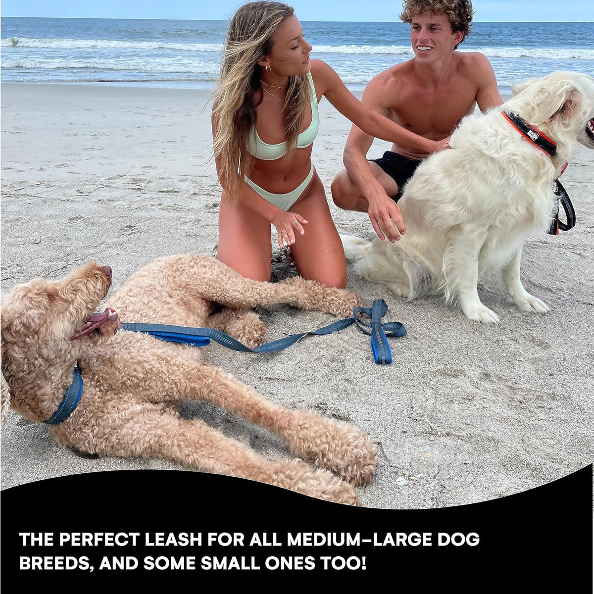 Dog Leash - Heavy Duty - Medium & Large Dogs | 6Ft Long Leashes | Two Traffic Padded Comfort Handles for Safety Control Training - Double Handle Reflective Lead (Green)