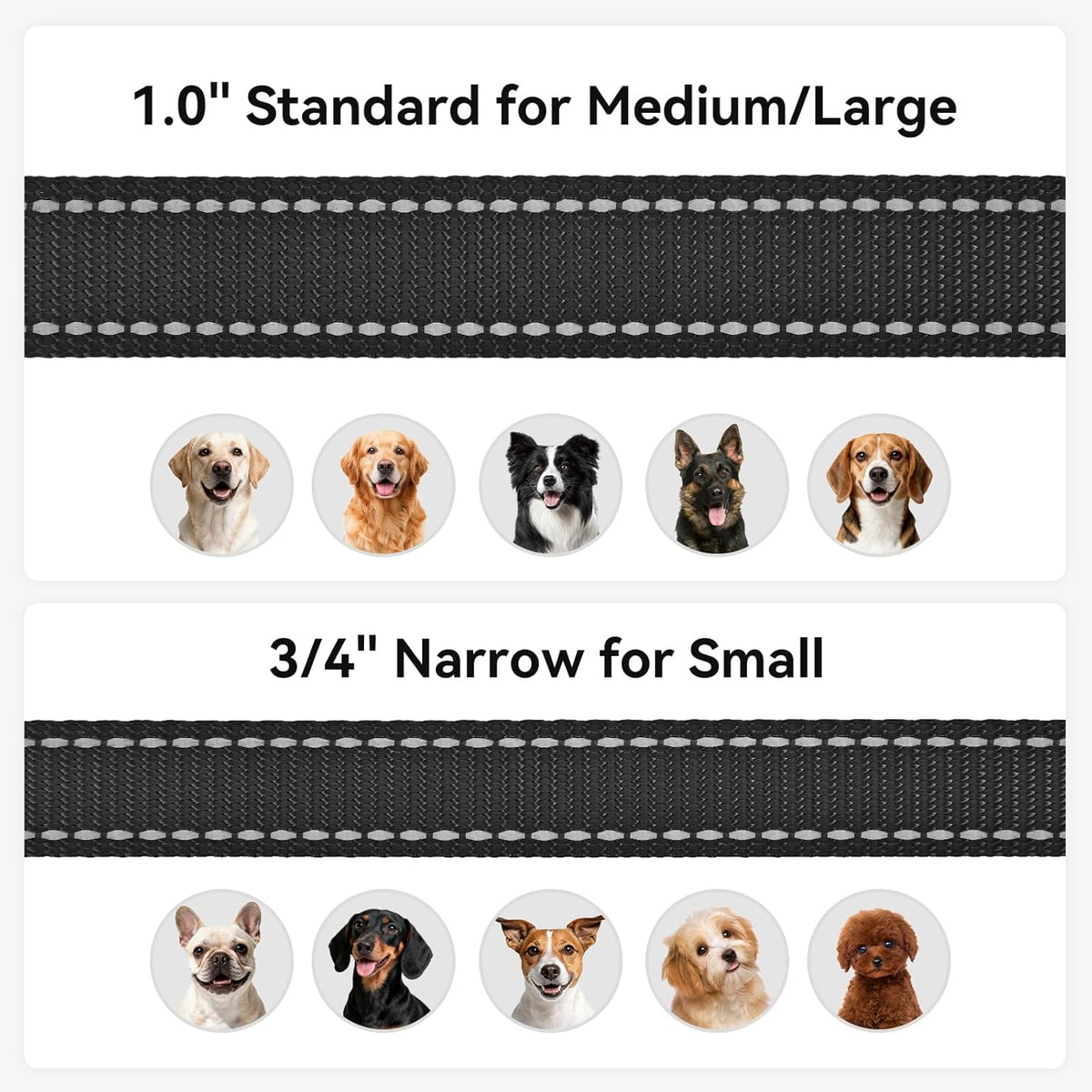 Padded Handle Dog Lead for Small & Medium Dogs, 1.2M X 2Cm, Black