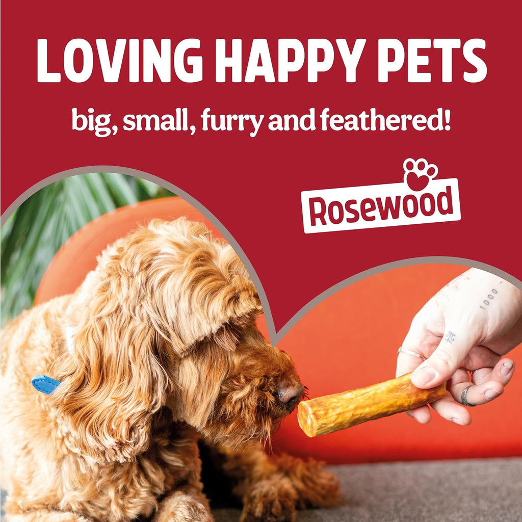 Medium Anti-Scoff Slow Feeder Dog Bowl
