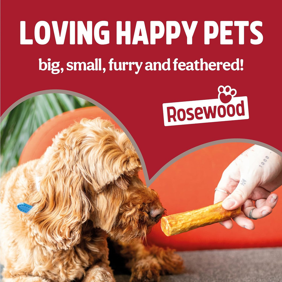 Medium Anti-Scoff Slow Feeder Dog Bowl