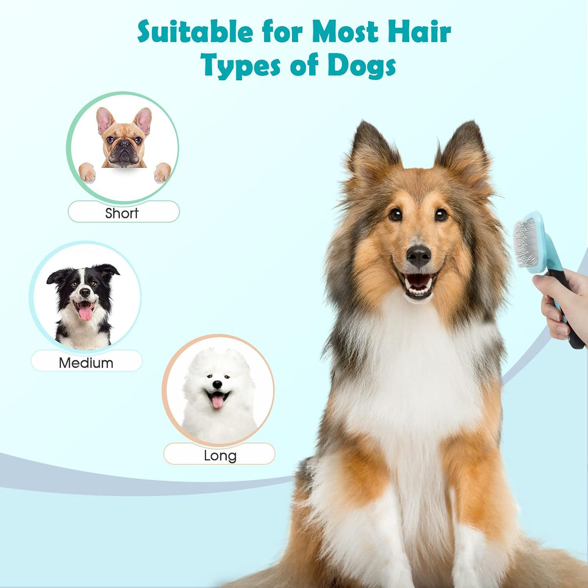Slicker Brush, Dog Brush for Gently Cleaning Shedding Hair, One Size Blue