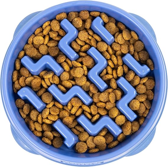 Outward Hound Slow Feeder Dog Bowl – Interactive Slow Feeding Bowl for Dogs, Medium, Blue