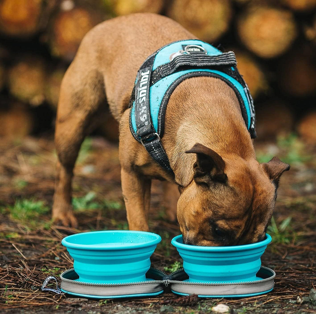 Collapsible Dog Bowls with Travel Case 2 Pack