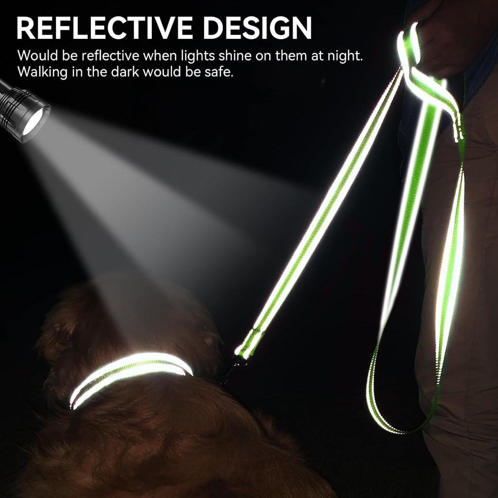 Double-Sided Reflective Dog Leash, 6 FT/5FT/4 FT, Padded Handle Nylon Dogs Leashes for Walking, Training Lead for Medium & Large Dogs, Green, 5FT