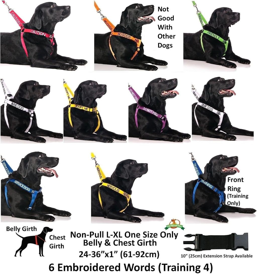 Elite Range Luxury Padded Handle Strong 1.2M 4Ft Pet Dog Lead Leash (Flash Red, 120Cm/4Ft X 25Mm)