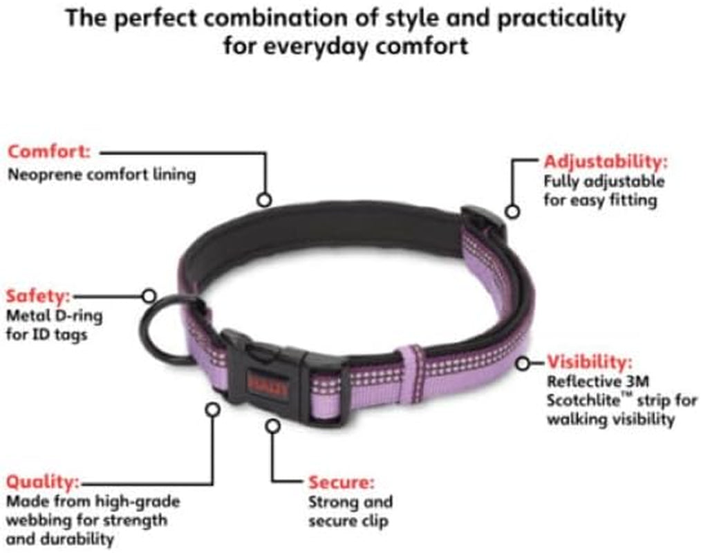 Dog Collar | Size L, Purple