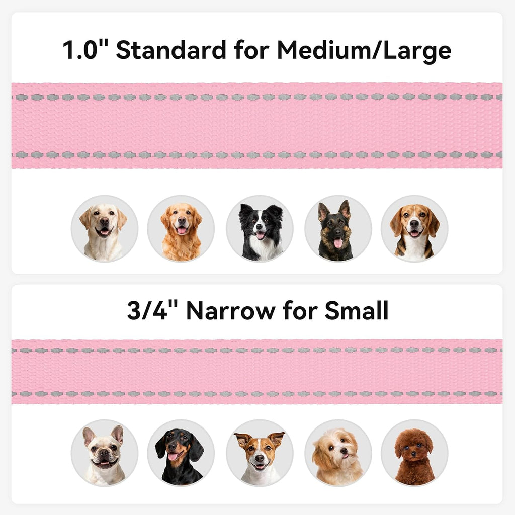 Padded Handle Dog Lead for Medium & Large Dogs, 1.8M X 2.5Cm, Pink