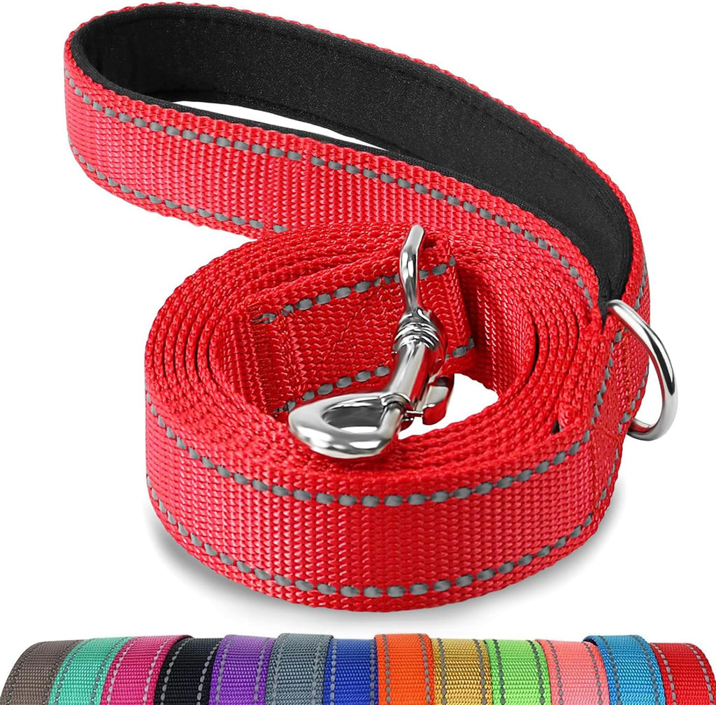 Padded Handle Dog Lead for Medium & Large Dogs, 1.8M X 2.5Cm, Red