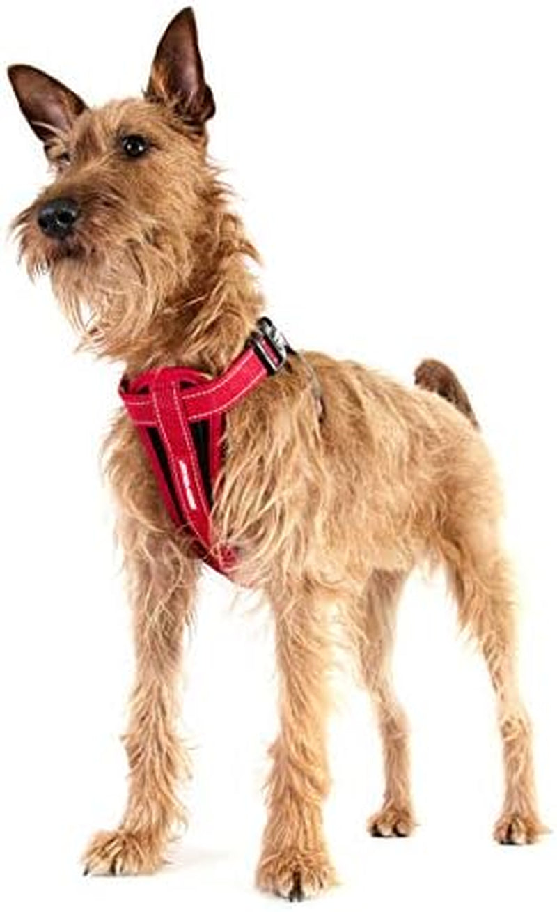 Adjustable Chest Plate Harness - Step-In, No Pull Dog Harness, XX Small to XX Large Dogs - Reflective, Durable Soft Webbing, K9 Travel Vest with Car Restraint - Ideal for Active Pets - Orange
