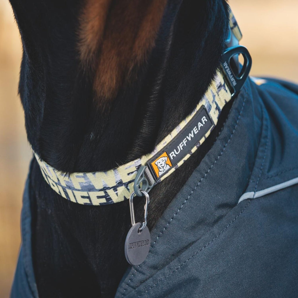 Ruffwear Front Range Small Dog Collar, Pet Dog Collar with Aluminum V-Ring Dog Lead Attachment, Comfortable & Strong with Side Buckle & Webbing for Dog Walking, Size S (28-36Cm), Mountains Logo