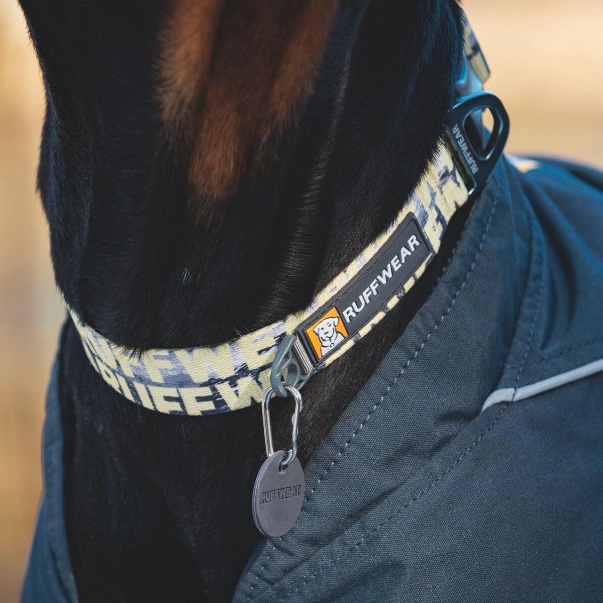 Ruffwear Front Range Small Dog Collar, Pet Dog Collar with Aluminum V-Ring Dog Lead Attachment, Comfortable & Strong with Side Buckle & Webbing for Dog Walking, Size S (28-36Cm), Mountains Logo