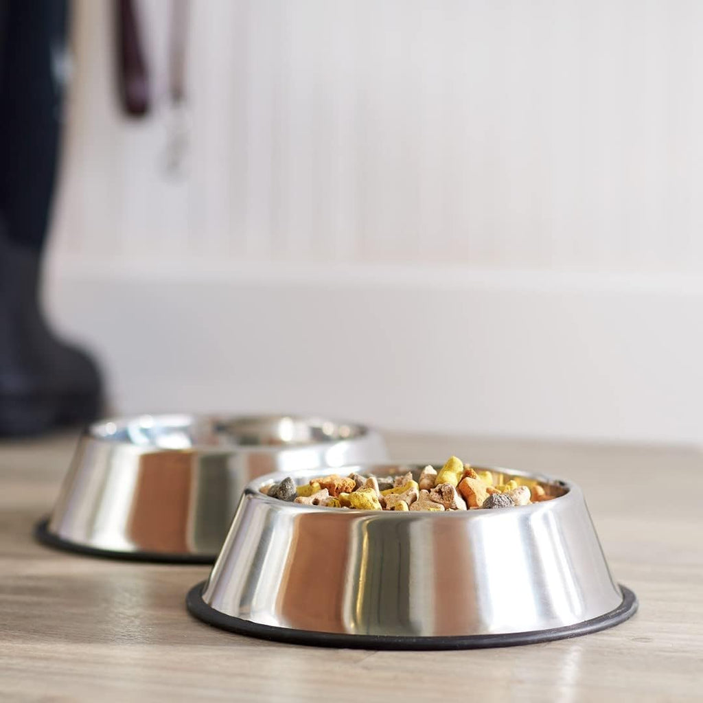 Dog Bowls for Food and Water, Stainless Steel, 2 Count, Silver