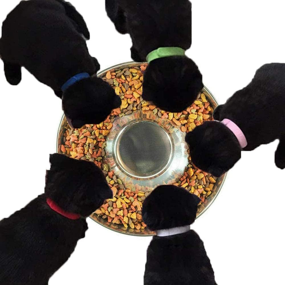 Stainless Steel Puppy Feeding Bowls - Metal Dog Bowls for Weaning Puppies, Can Be Used for Water and Food (30Cm/2Pcs)