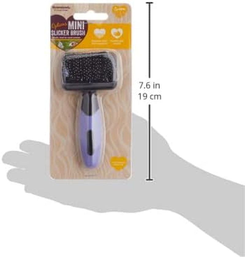Options Mini Slicker Brush for Small Animals, Gentle Brush, Ideal for Rabbits & Guinea Pigs, Black/Purple