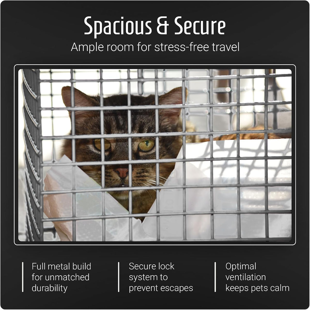 Large Pet Carrier for Travel – Top Opening Pet Crate for Kittens, Cats & Small Dogs – Spacious Mesh Pet Travel Basket – Ideal for Vets, Car Journeys & Catteries – Easy Clean Base