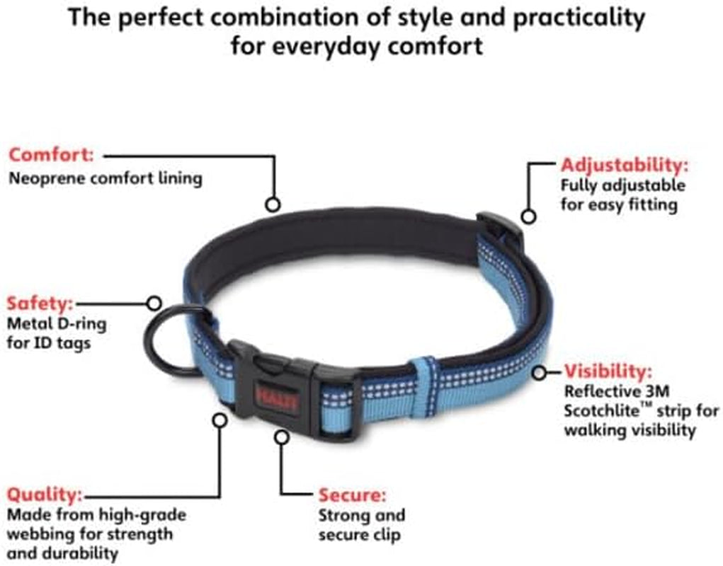 Dog Collar | Size S, Blue