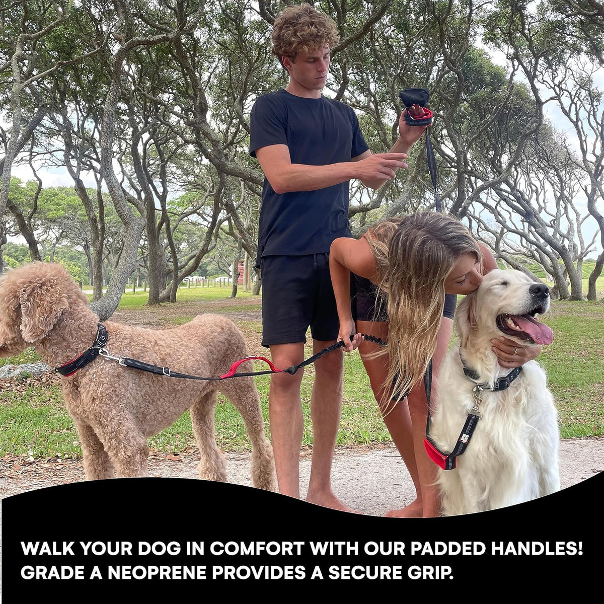 Dog Leash - Heavy Duty - Medium & Large Dogs | 6Ft Long Leashes | Two Traffic Padded Comfort Handles for Safety Control Training - Double Handle Reflective Lead (Green)