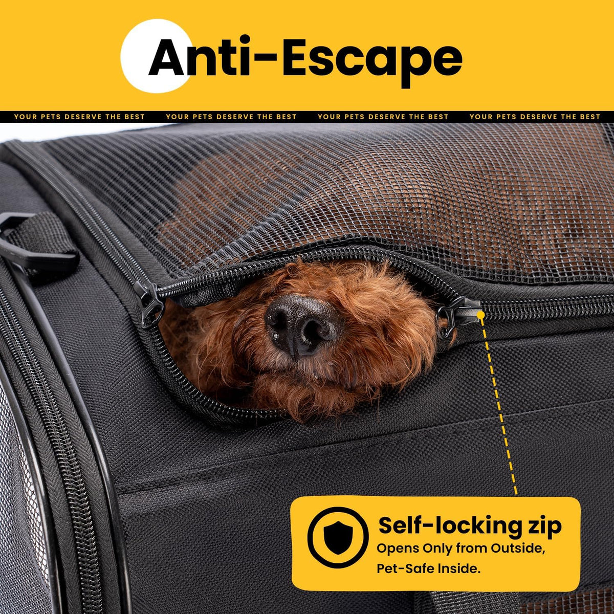 Dog Carrier Bag,Soft-Sided Pet Carriers for Dogs with 4-Sided Mesh, Cat Transport for Large Cats Small Dog up to 9Kg,Collapsible Dat Travel Carrier-L,Grey