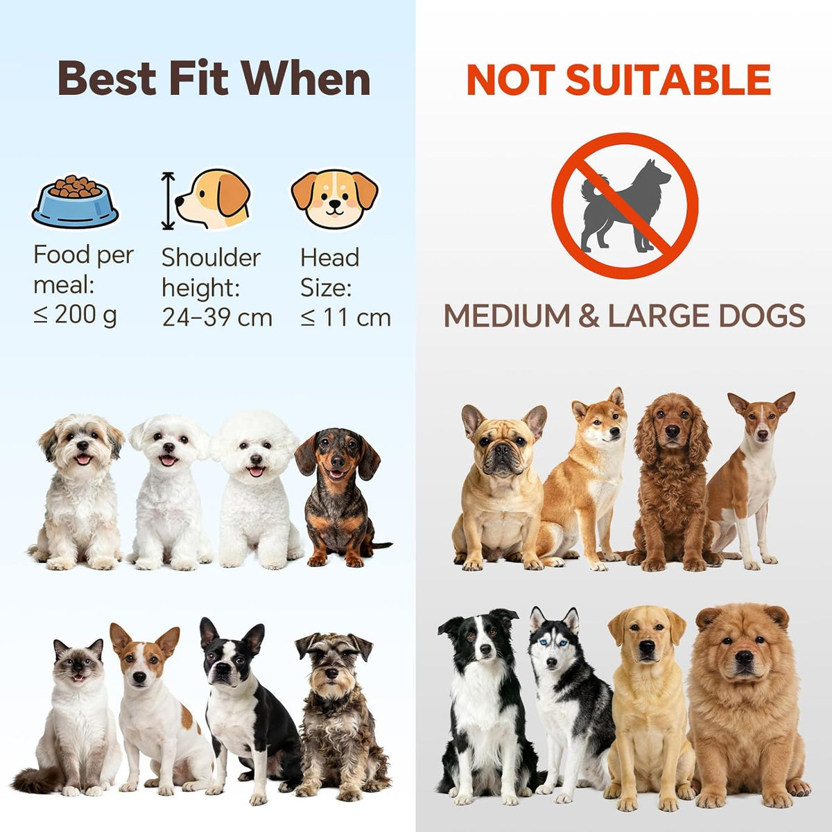 Elevated Ceramic Dog Bowl with Metal Stand - Raised Feeding Dish for Small Dogs and Cats - Ideal for Food or Water - Each Holds 400Ml / 2 Cups (Approx. 200G) - White