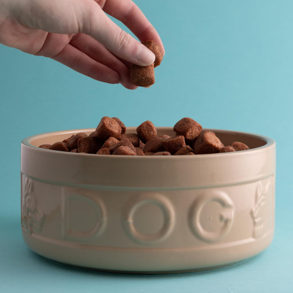 Cane Dog Bowl 20Cm Large Stoneware Pet Bowl, 1.6 Litre Capacity, Classic Design, Dishwasher & Microwave Safe, Ideal for Food and Water