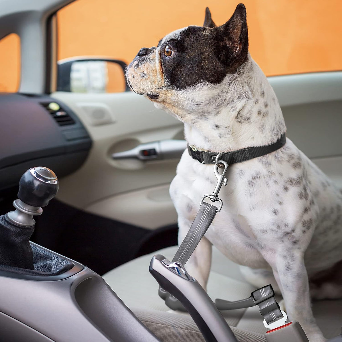 Dog Seat Belt for Car - Adjustable Dog Car Safety Harness, Elastic anti Shock Dog Seat Belt. (Grey)