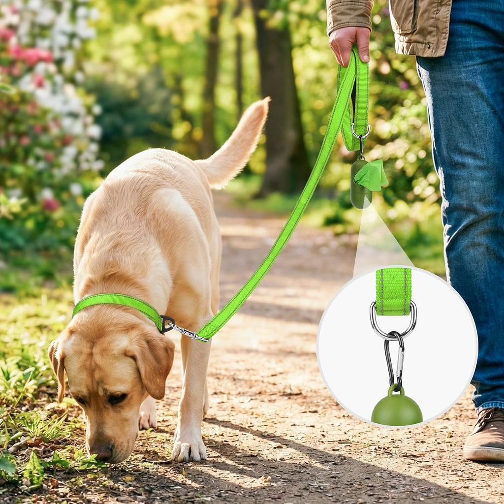 Double-Sided Reflective Dog Leash, 6 FT/5FT/4 FT, Padded Handle Nylon Dogs Leashes for Walking, Training Lead for Medium & Large Dogs, Green, 5FT