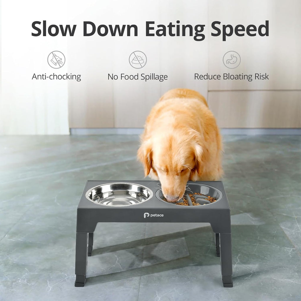 Raised Dog Bowl, 5 Adjustable Heights, 2 Stainless Bowls, Grey