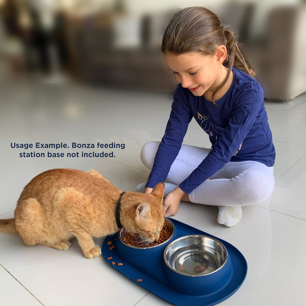 Two Piece Stainless Steel Dog Bowls for Pet Feeding Station. Perfect for Small Dogs and Cats.