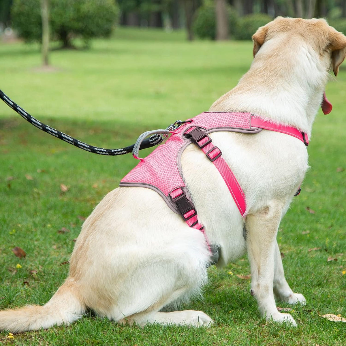 Multi-Use Support Dog Harness, Escape Proof No Pull Reflective Adjustable Vest with Durable Handle, Dog Walking Harness for Big/Active Dogs (Pink, M)