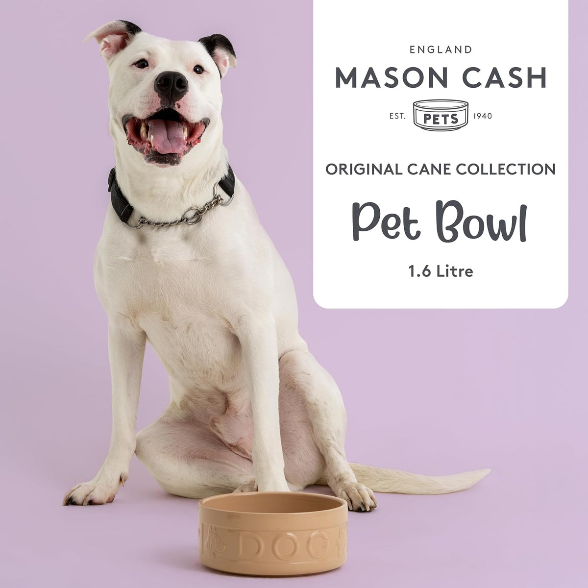 Cane Dog Bowl 20Cm Large Stoneware Pet Bowl, 1.6 Litre Capacity, Classic Design, Dishwasher & Microwave Safe, Ideal for Food and Water