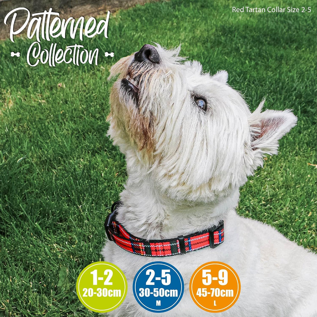 20-30Cm Sml Adj Coll Tartan Re