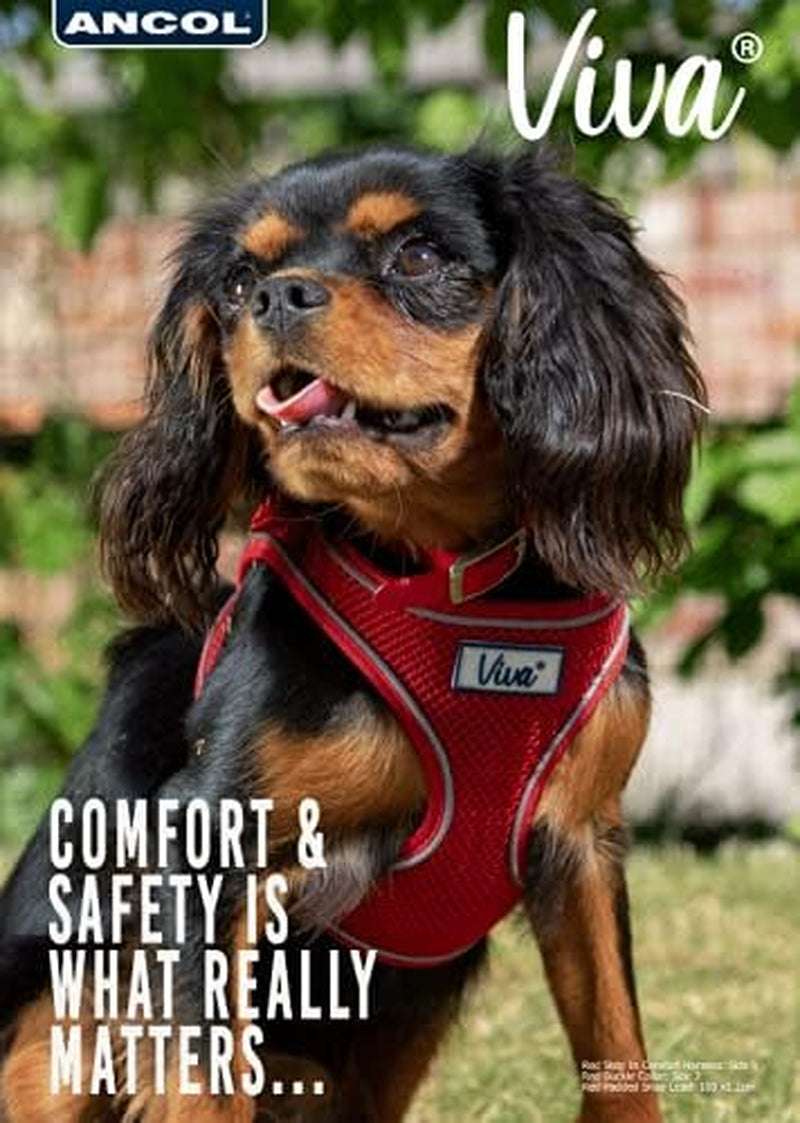 Simply Comfortable Padded Breathable Mesh Red Dog Harness Pet Training Accessory 44-57 Cm, Medium