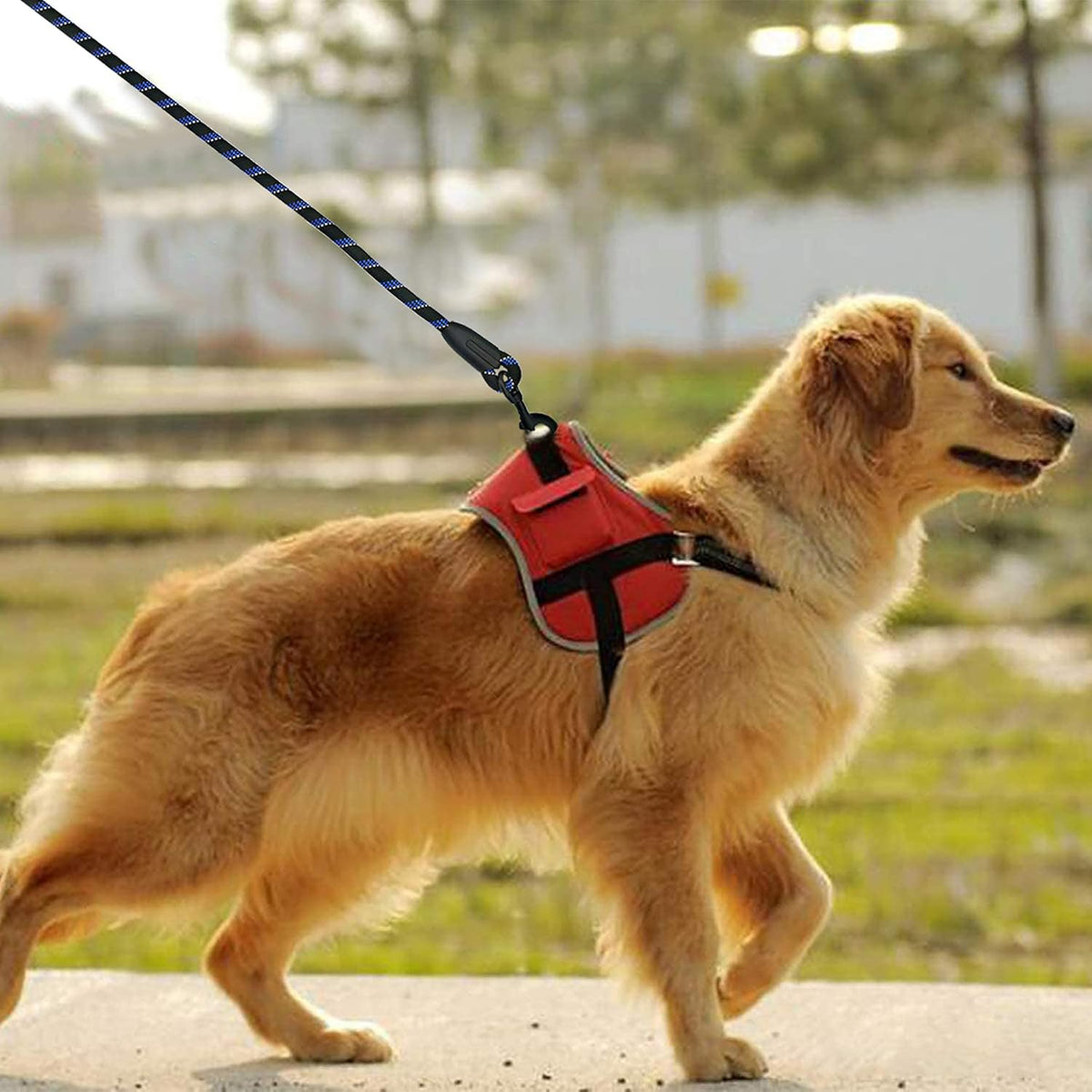 Dog Lead with Soft Padded and anti Slip Comfortable Rope Handle, 5 FT Strong Dog Leads, Highly Reflective Dog Leash for Puppy, Medium and Large Dogs