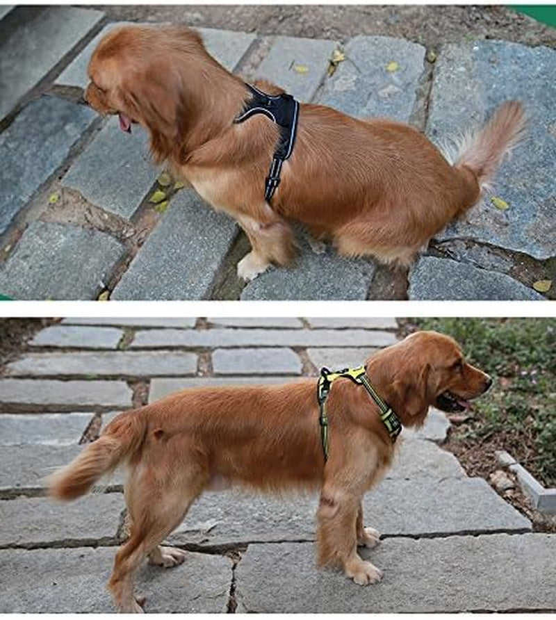 Dog Harness,No Pull Adjustable Vest with Front & Back Lead Clips