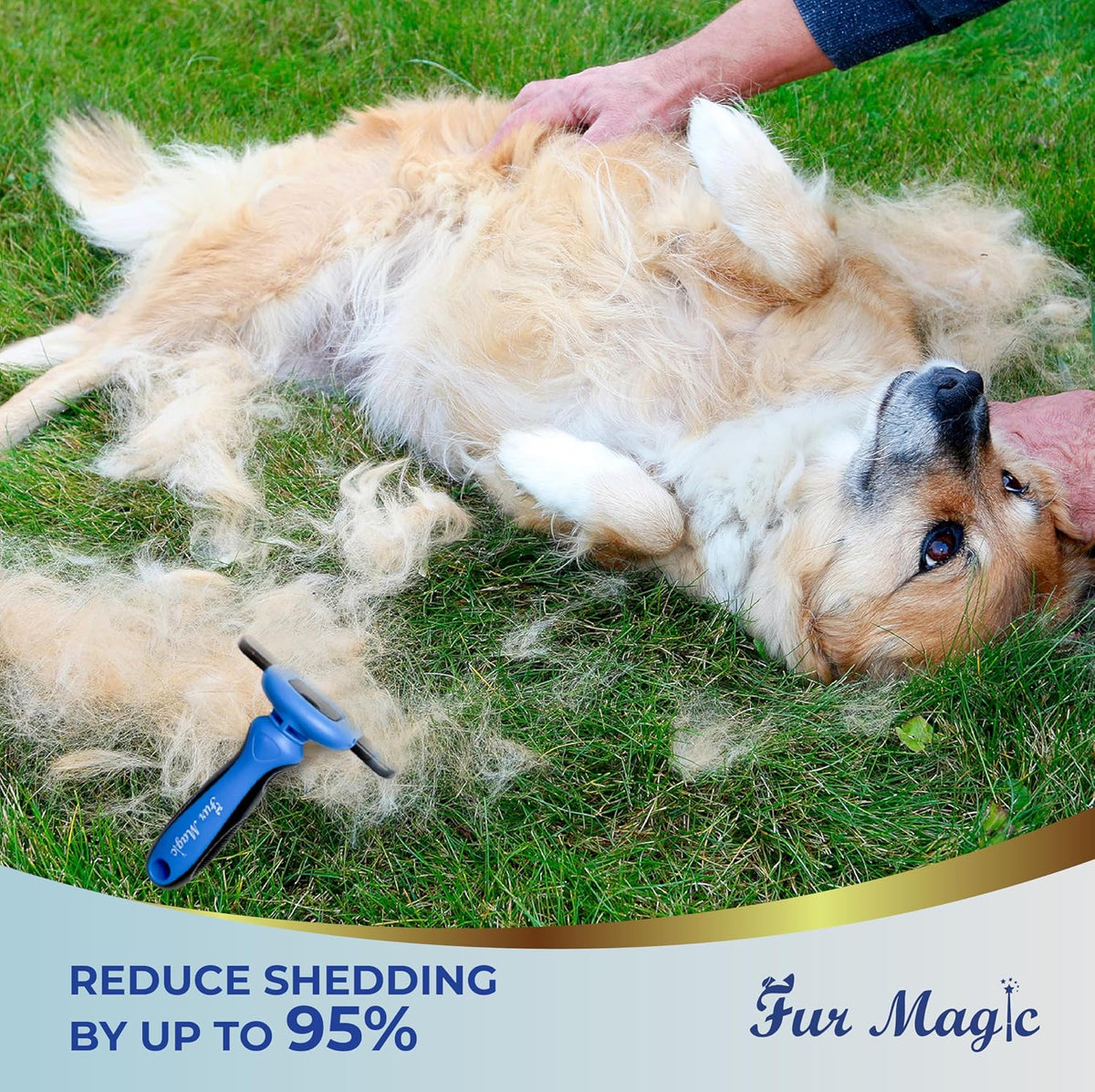 Deshedding Tool & Dematting Comb, Grooming Brushes for Dogs Cats