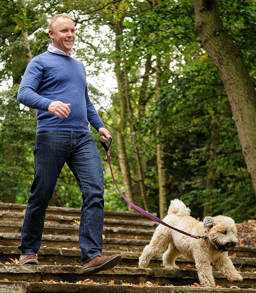 Lead for Dogs | Size Small, Black, 1.2M