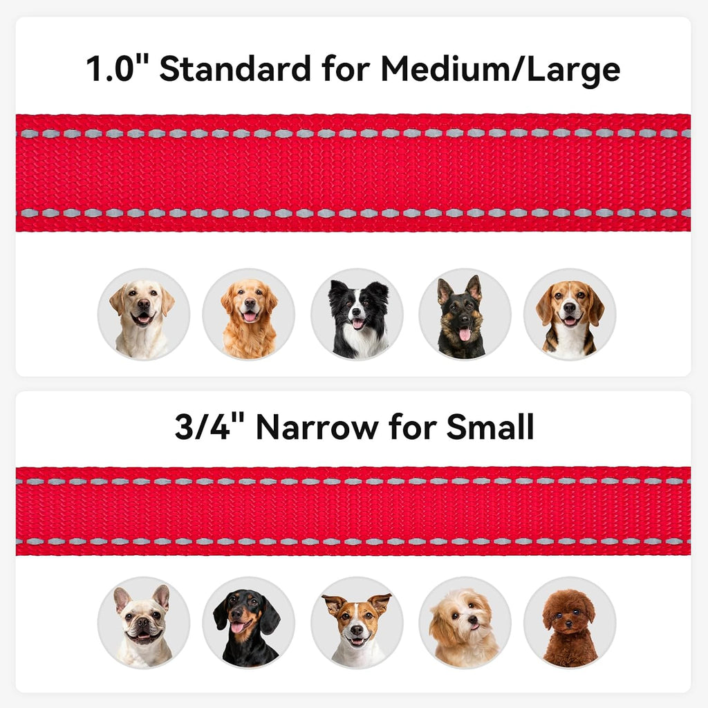 Padded Handle Dog Lead,Double-Sided Reflective Nylon Leads for Training, Walking Leash for Large, Medium Dogs, 1.2M × 2.5Cm, Red