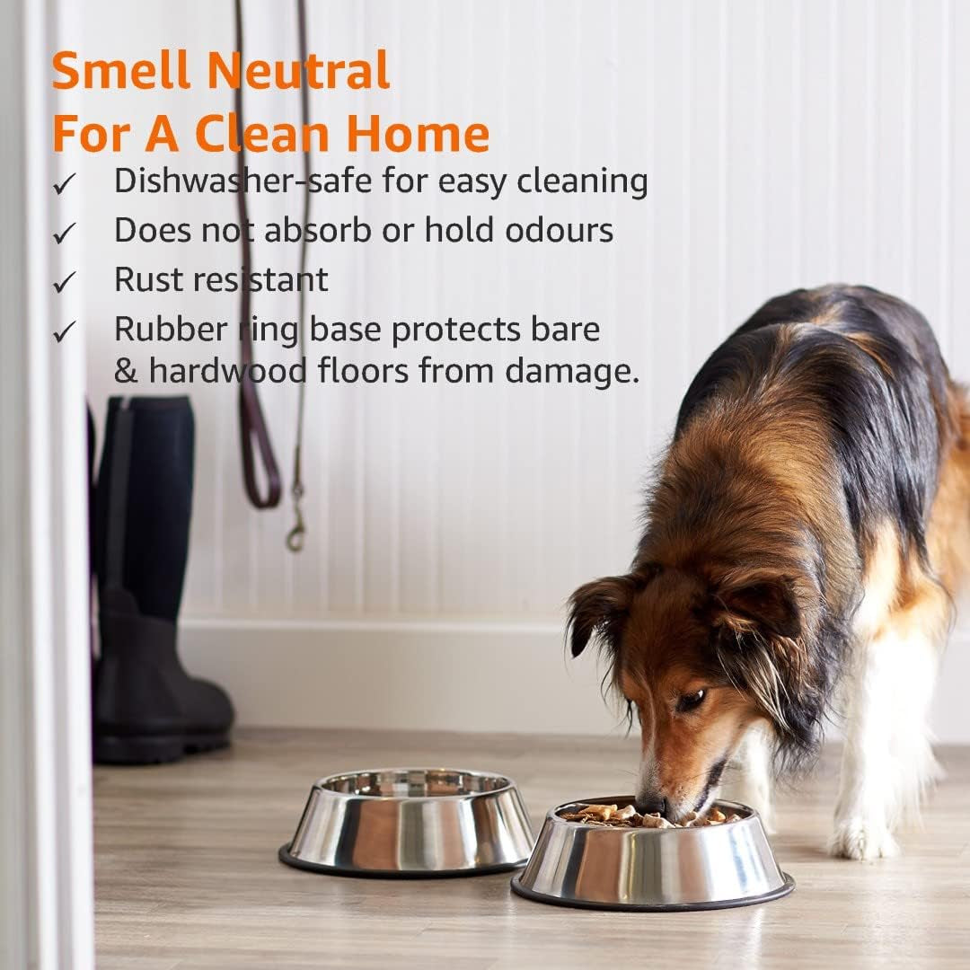 Dog Bowls for Food and Water, Stainless Steel, 2 Count, Silver