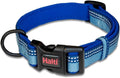 Dog Collar | Size S, Blue