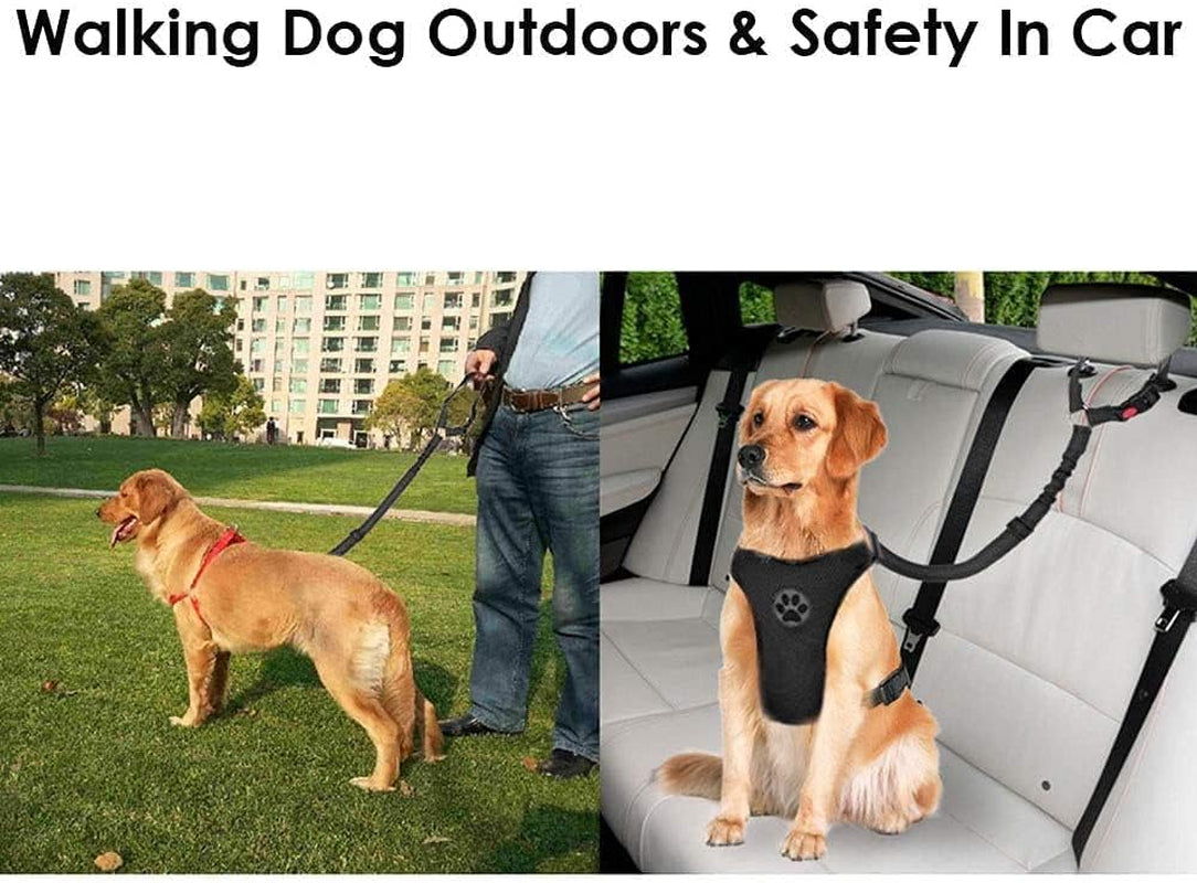 Dog Seat Belts for Cars - Dog Car Harness Adjustable - Headrest Dog Car Seat Belt Restraint Puppy - Elastic Pet Dog Seatbelt Harness - Strong Leads Harness for Dogs Cats and Pets (BLACK)